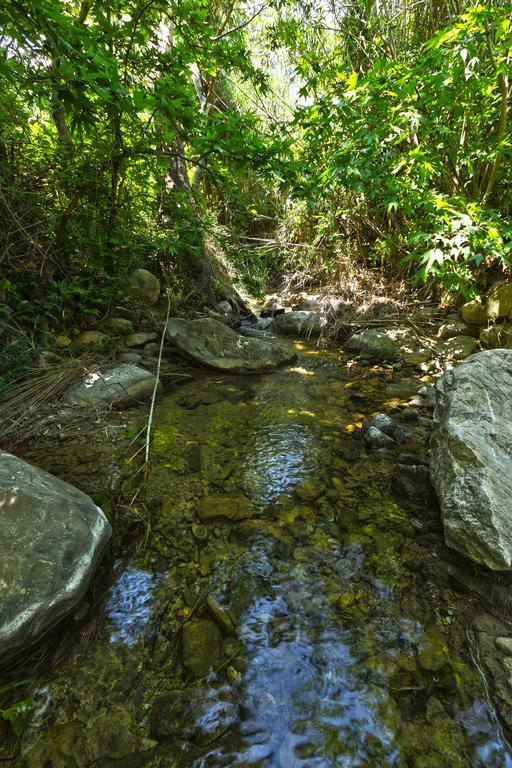Aspros Potamos Apart otel Makrýgialos Dış mekan fotoğraf