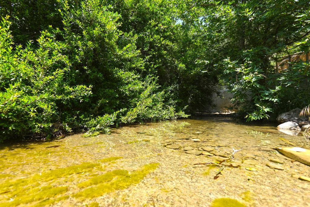 Aspros Potamos Apart otel Makrýgialos Dış mekan fotoğraf